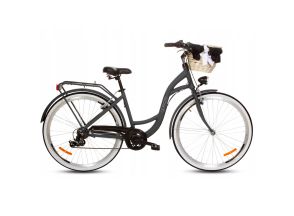 Damski rower miejski Goetze ALU 28 mood 7b