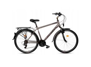 Rower trekkingowy Goetze Gemini męski